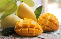 Vietnam officially begins mango exports to us