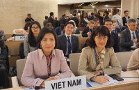 vietnam co chairs debate on protecting environment in armed conflicts