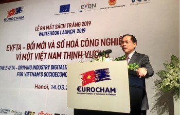 Deputy Foreign Minister affirmed Vietnam’s expectation of approval of EVFTA