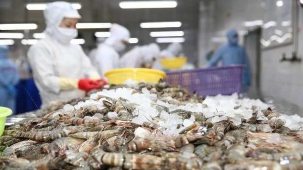 Fishery exports exceed 10 billion USD in 11 months