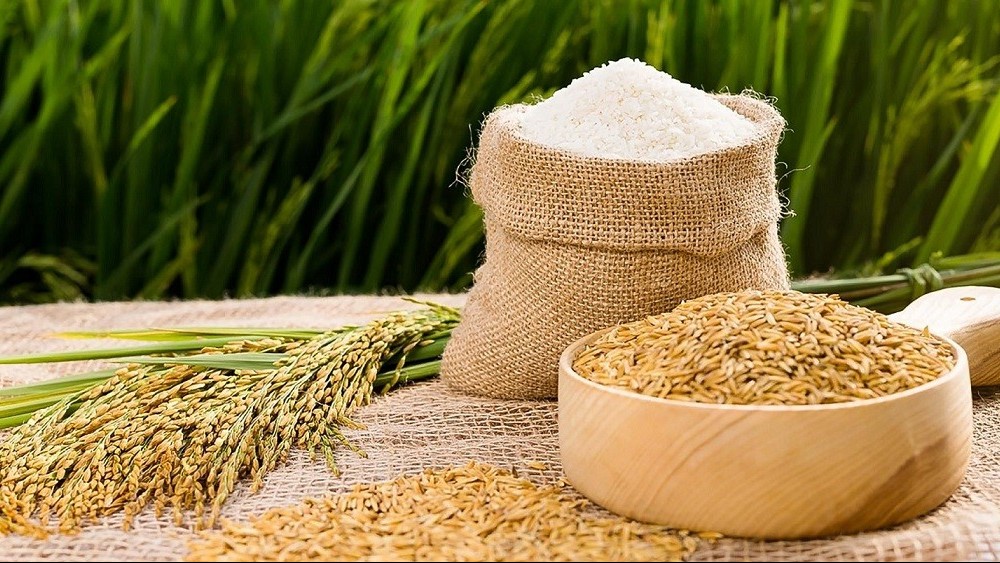 Positive signals for Vietnamese rice exports in 2023