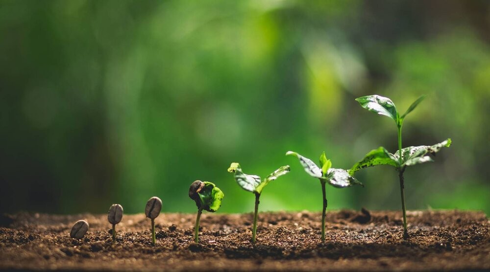 Việt Nam có thể tăng cường hợp tác với EU trong những lĩnh như phát triển bền vững, ứng phó với biến đổi khí hậu, kinh tế xanh, kinh tế số… (Nguồn: Tạp chí Tài chính) Việt Nam có thể tăng cường hợp tác với EU trong những lĩnh như phát triển bền vững, ứng phó với biến đổi khí hậu, kinh tế xanh, kinh tế số… (Nguồn: Tạp chí Tài chính)