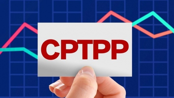 CPTPP helps leverage Viet Nam-Australia investment cooperation