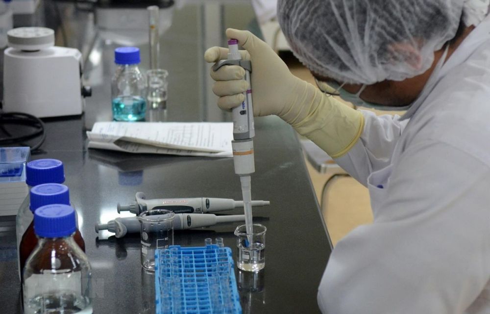 Vietnamese companies ready to export African swine fever vaccines | Health | Vietnam+ (VietnamPlus)