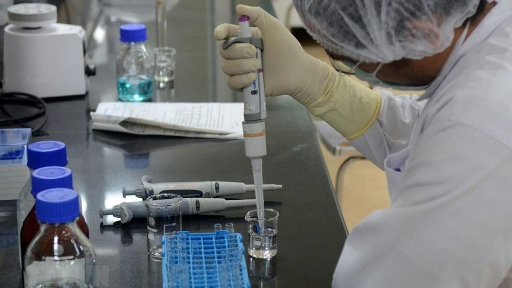 Vietnamese companies ready to export African swine fever vaccines: MARD