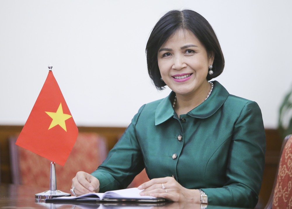 Ambassador Le Thi Tuyet Mai, head of the Vietnamese mission in Geneva (Photo: VNA)