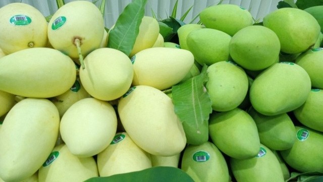 Vietnam is the third largest mango supplier for the Republic of Korea in the World