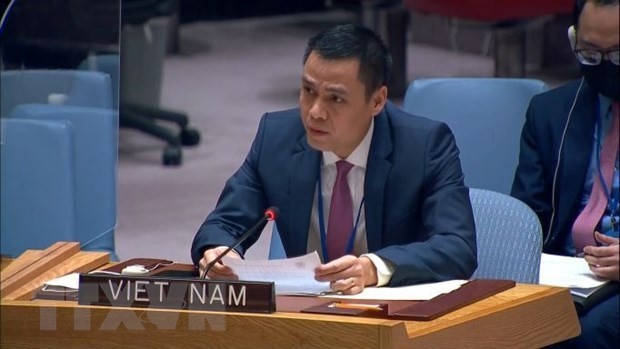 Vietnam ready to make substantive contributions to UN development forums: Ambassador Dang Hoang Giang