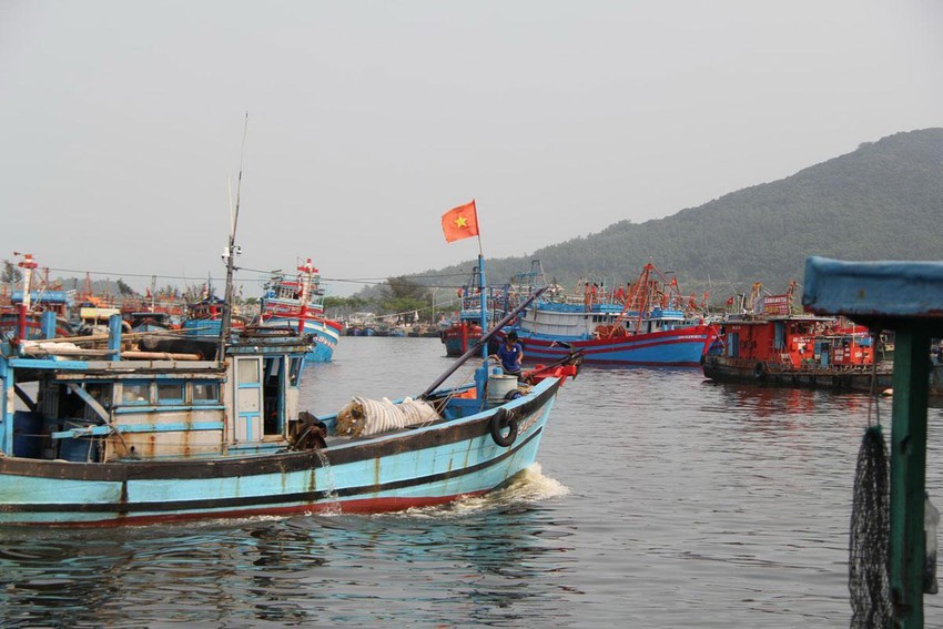 VINAFAS slams China’s fishing ban in East Sea. (Photo: PLO)