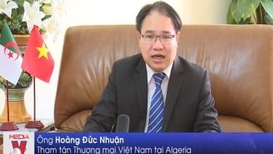 Viet Nam looks for cooperation opportunities in Africa