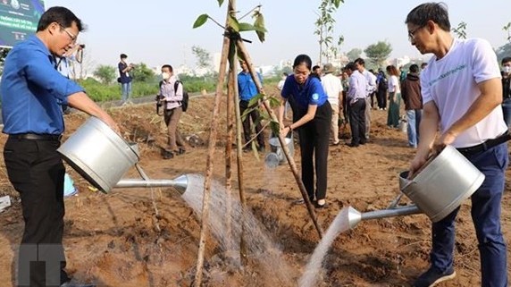 Implementing the program "Million trees - For a green Vietnam" in Ho Chi Minh City