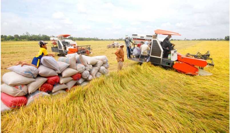Rice export prices are unlikely to break through