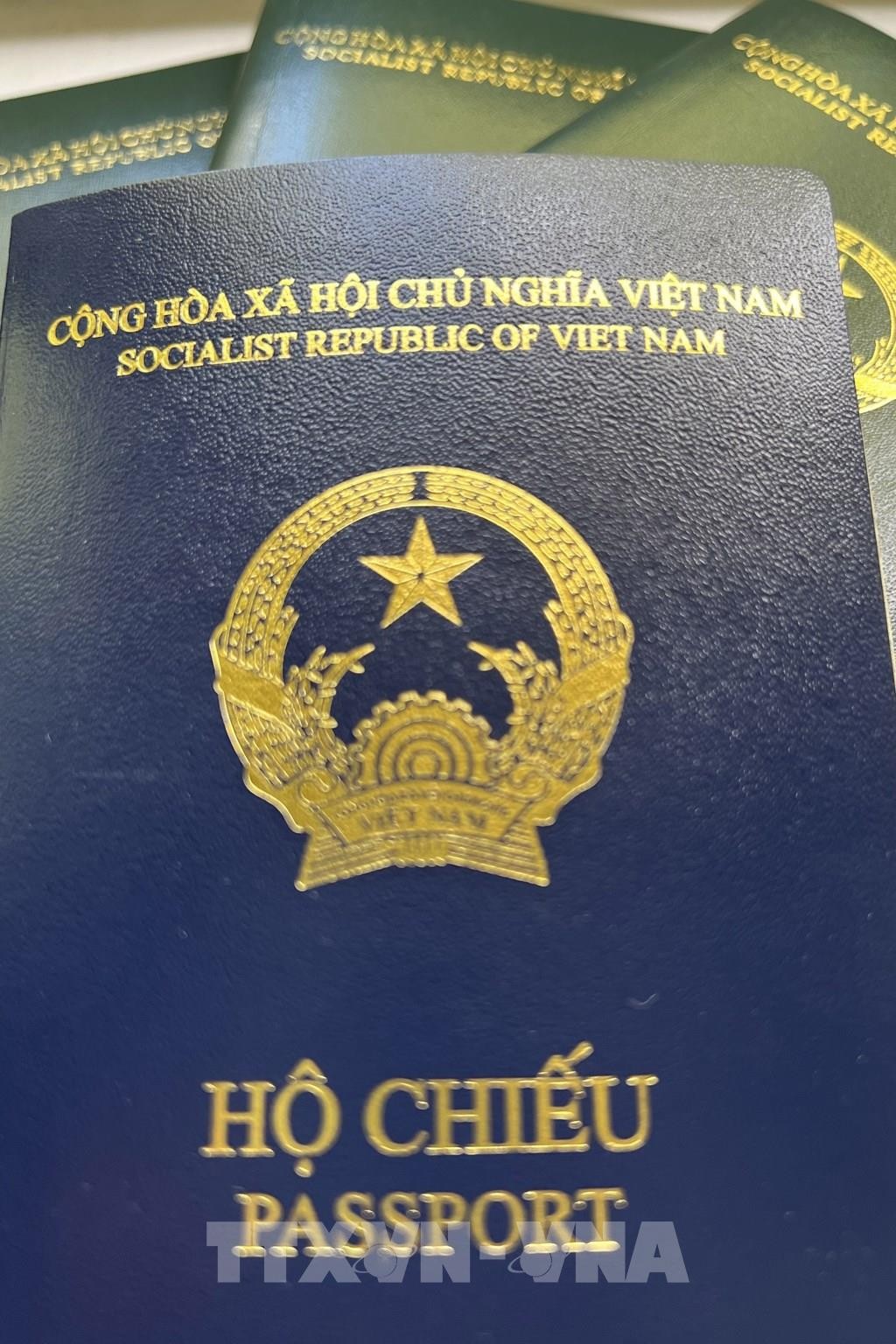 Birthplace information to be printed on new Vietnamese passports. (Source: BNews)