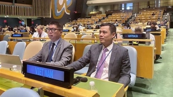 Effective contributions at UN bring practical benefits to Vietnam: Ambassador to UN