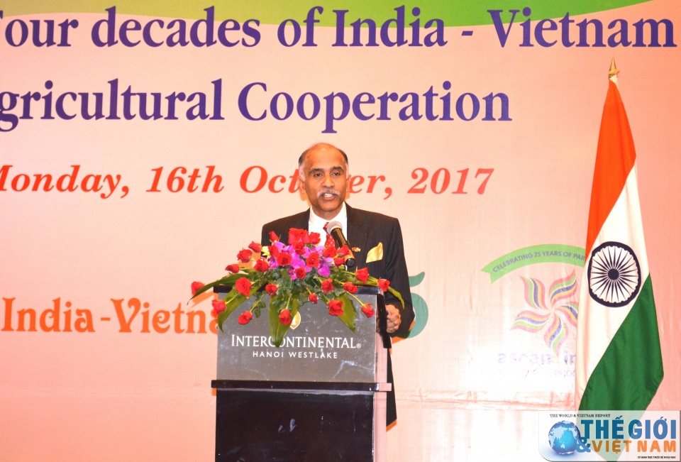 ambassador vietnam central to indias act east policy