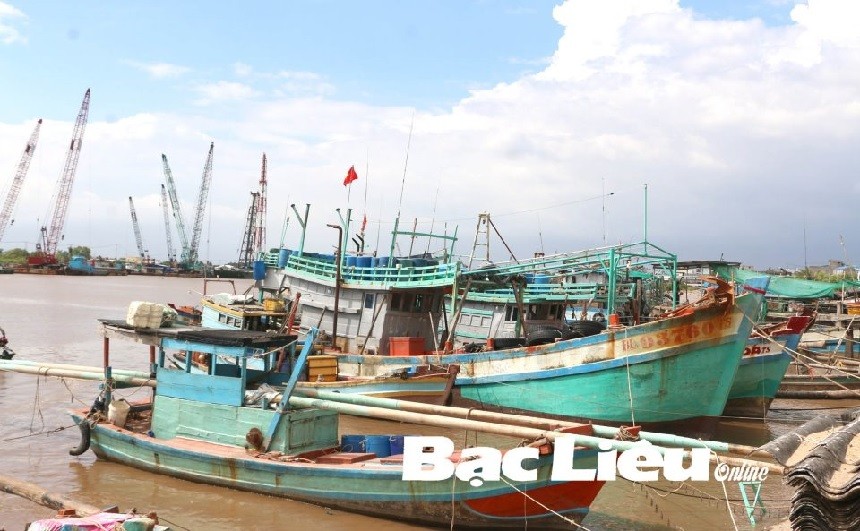 Bac Lieu striving to remove EC “yellow card” on fisheries sector. Fishing boats are equipped with cruise monitoring equipment. (SOurce: BacLieu)