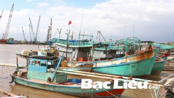 Bac Lieu striving to remove EC “yellow card” on fisheries sector