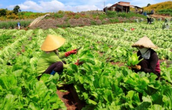 Vietnam boasts huge potential for green growth
