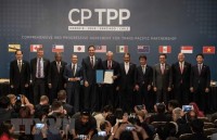 cptpp latest demonstration of trade liberalisation in asia pacific
