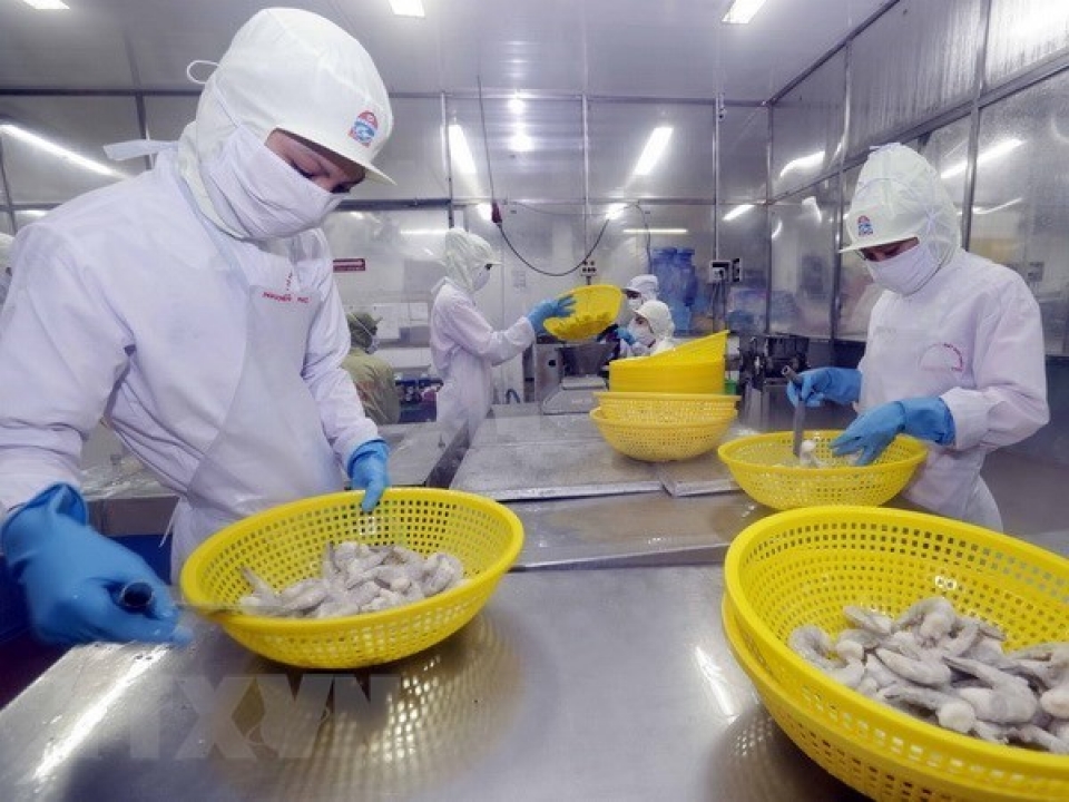 shrimp exports expected to bring in 4 billion usd in 2019
