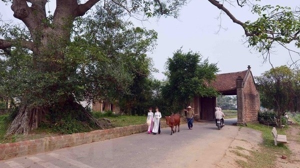 Duong Lam, first Vietnamese ancient village to become national relic