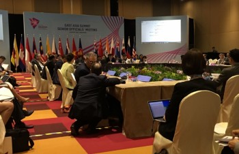 ASEAN+3 and EAS play important role in regional cooperation structure
