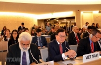 joint press release of the annual viet nam eu human rights dialogue 2020