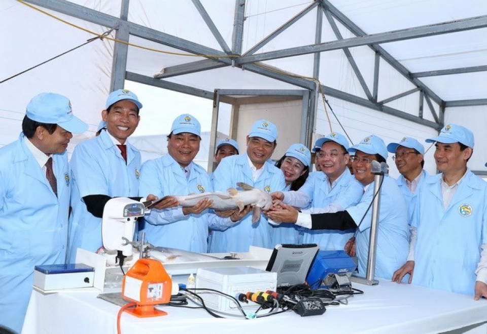pm visits high tech tra fish farm in an giang