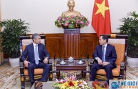 vietnamese turkmen foreign ministries hold political consultation