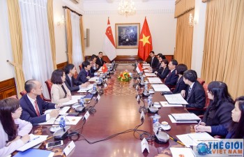 Vietnam, Singapore convene 11th political consultation