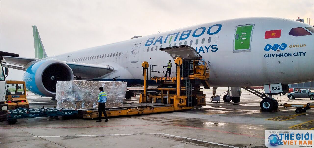 bamboo airways keeps target despite the covid 19 pandemic