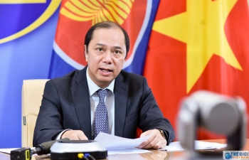 Vietnam proactively promotes ASEAN joint efforts against COVID-19