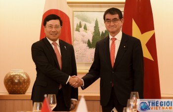 Vietnamese, Japanese FMs delighted at bilateral ties