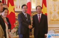 vietnam japan sign cooperation deal on orderly training
