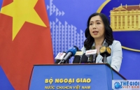 ec delegation to inspect vietnams iuu fishing combat next month