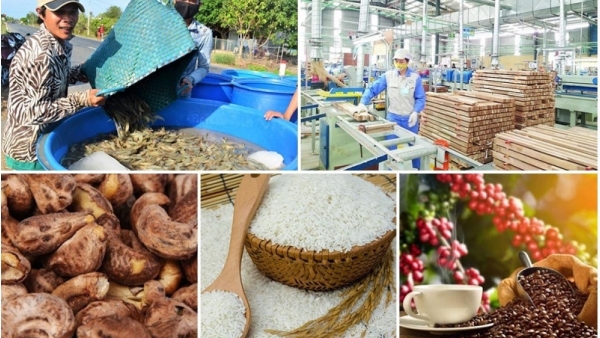 Vietnam aims to be one the top 10 agricultural processing centres in the world by 2030