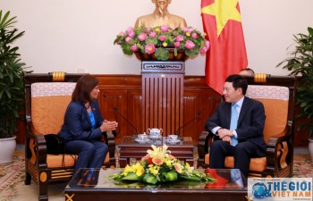 Deputy PM Pham Binh Minh receives Timor Leste Ambassador