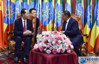 vietnam boosts traditional friendship with africa