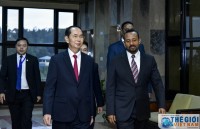 presidents of vietnam ethiopia hold talks