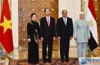 cooperation with vietnam to develop further egyptian president