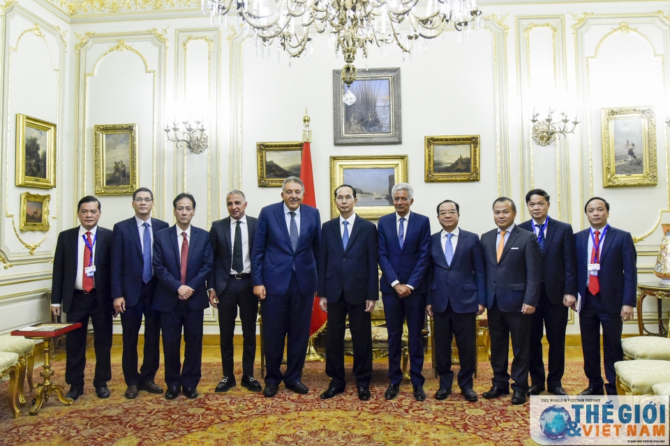 vietnamese president meets fedcoc leaders concludes egypt visit