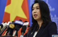 vietnamese ambassador us congressman discuss cooperation spheres
