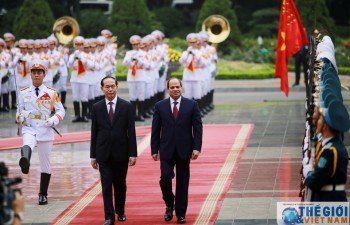 Vietnamese, Egyptian Presidents seek stronger cooperation