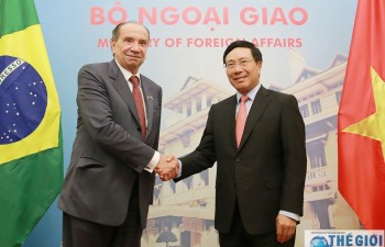 Deputy PM: Vietnam wants to enhance cooperation with Brazil