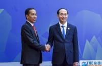 vietnam and indonesia issue joint statement