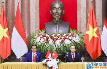 Vietnam and Indonesia issue Joint Statement