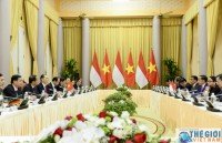 vietnam indonesia agree to foster multifaceted cooperation