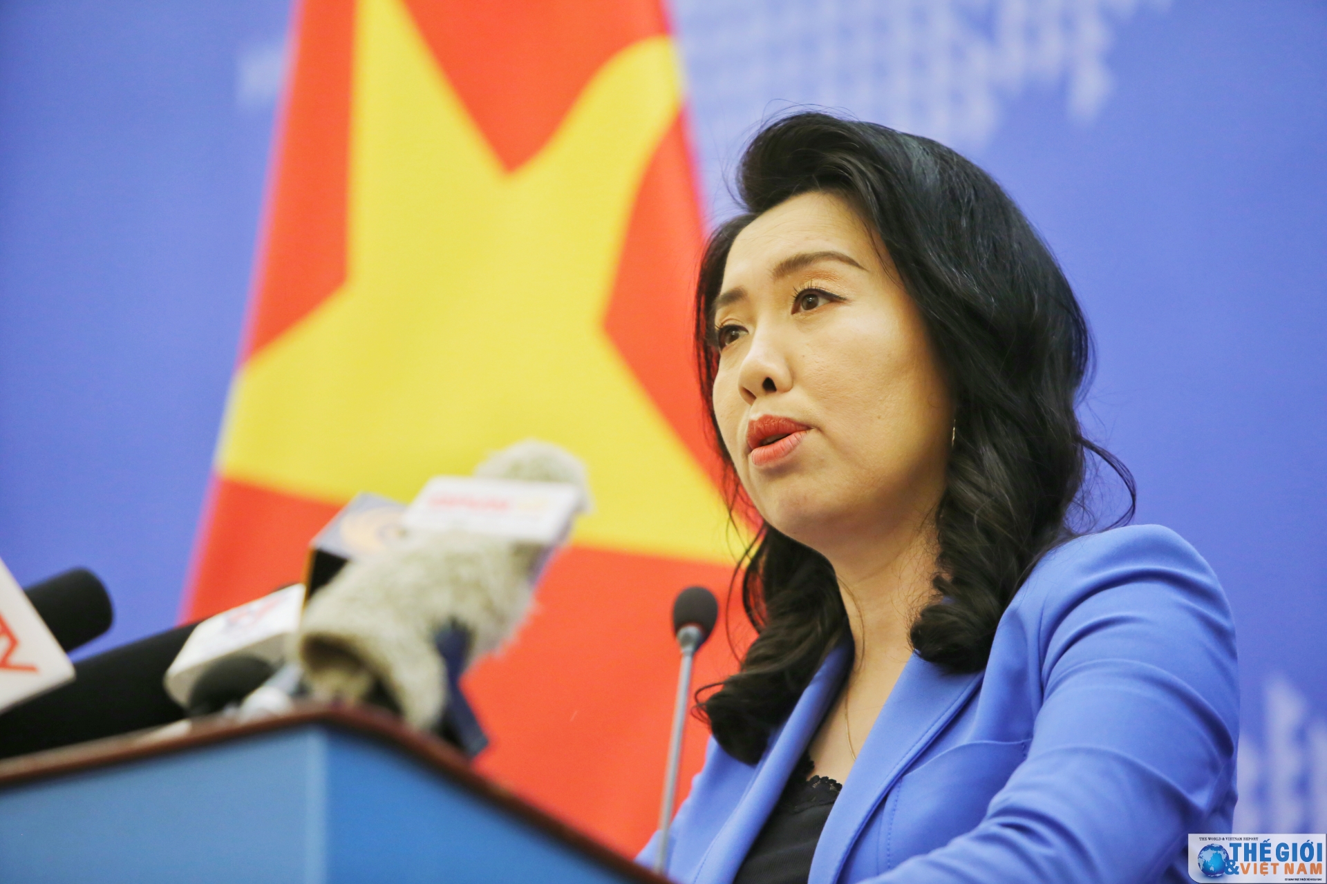 vietnam rejects report of committee to protect journalists
