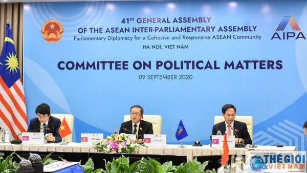 AIPA Committee on Political Matters holds online meeting