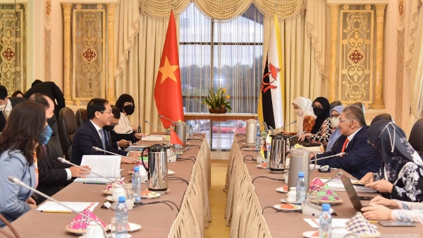 FM Bui Thanh Son visits Brunei Darussalam and co-chairs JCBC-2